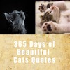 Thumbnail 365 Days of cute Cats Quotes Thumbnail 365 Days of cute Cats Quotes