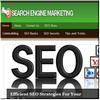 Thumbnail Search Engine Marketing Tips ready made niche website
