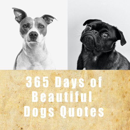 Product picture 365 Days of cute Dogs Quotes