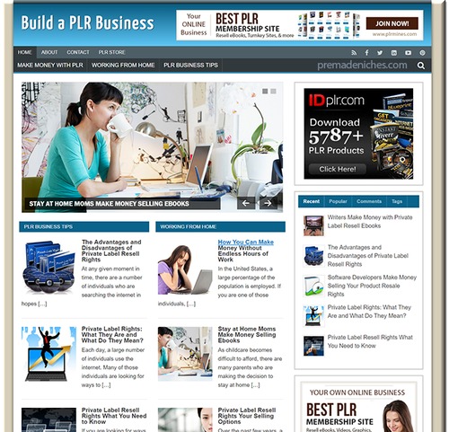 Product picture PLR Business ready made niche website