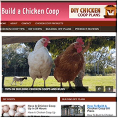 Product picture Build A Chicken Coop ready made niche website