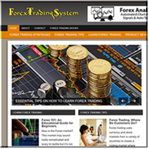 Product picture Forex Trading System ready made niche website