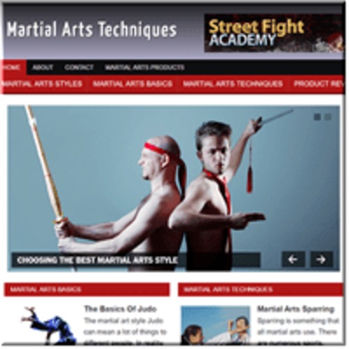 Product picture Martial Arts ready made niche website