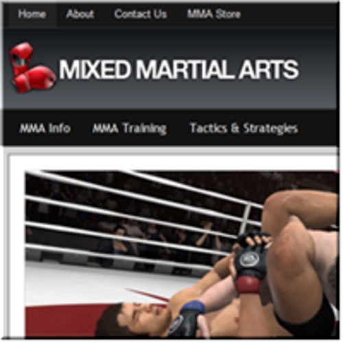 Product picture Mixed Martial Arts MMA ready made niche website