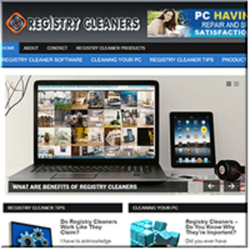 Product picture Registry Cleaners ready made niche website