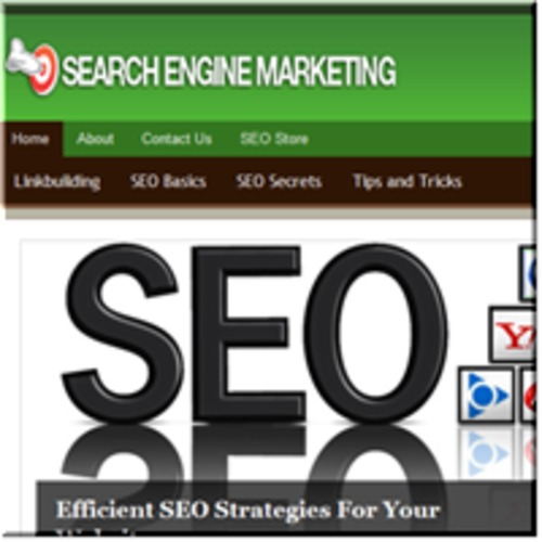 Product picture Search Engine Marketing Tips ready made niche website