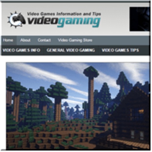 Product picture Video Gaming ready made niche website